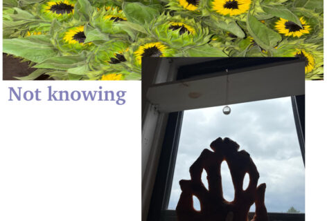 A collage with an image of sunflowers and an image of a leaf like object being held up to a window. Text reads, Not Knowing, Learning. Image courtesy of the faculty.