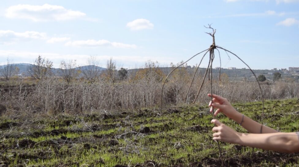Still from ongoing research/film - Natasha dancing with a dead plant to the wheat plantations of local farmers, in the South of Lebanon close to the border with Occupied Palestine, where planting is resistance - February 2026.